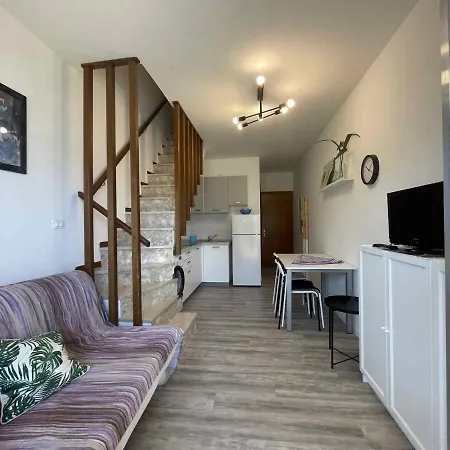 In 36609 * ビビオーネ